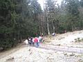 Obraz 263
